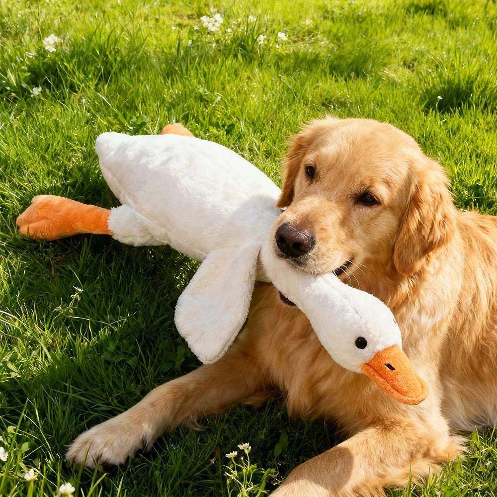Plush, vocal, companion dog toys suitable for all breeds of cats and dogs, with double-layer fabric for tear resistance