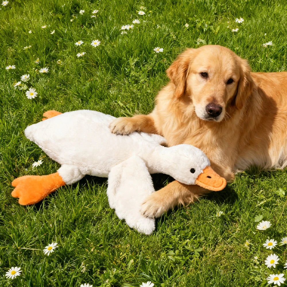 Plush, vocal, companion dog toys suitable for all breeds of cats and dogs, with double-layer fabric for tear resistance