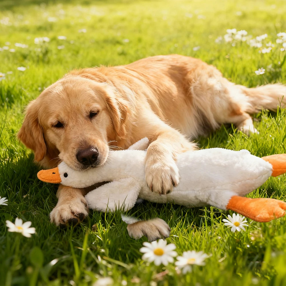 Plush, vocal, companion dog toys suitable for all breeds of cats and dogs, with double-layer fabric for tear resistance
